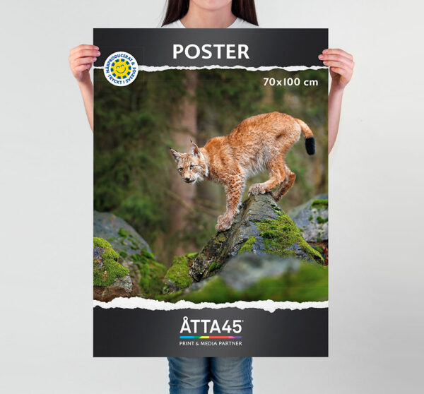 Poster / Print – Åtta45 Printworks