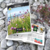 Brochure – Åtta45 Printworks | Magazine | Newspaper | Print